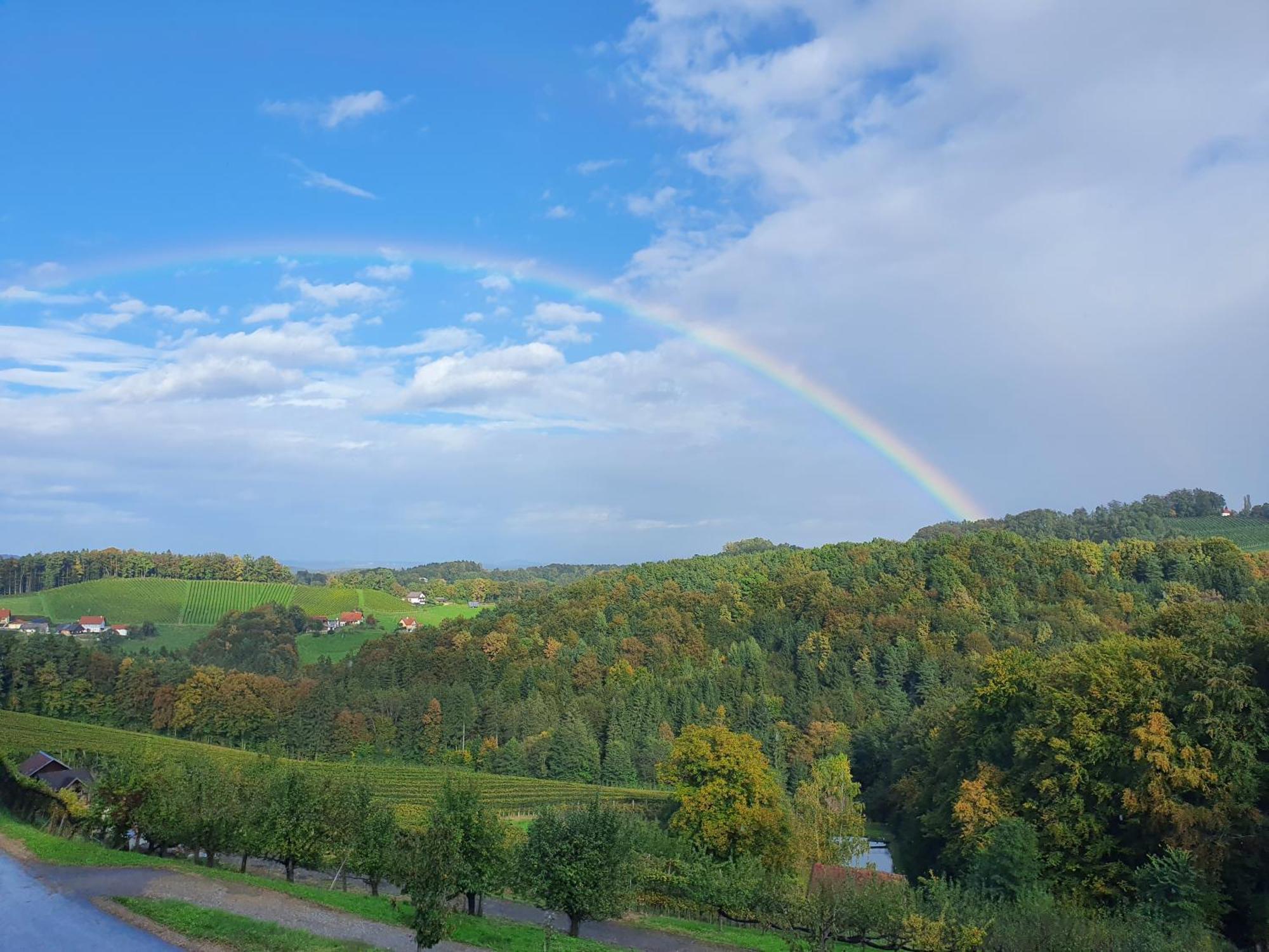 Apartamento Weingut Pugl Leibnitz Exterior foto