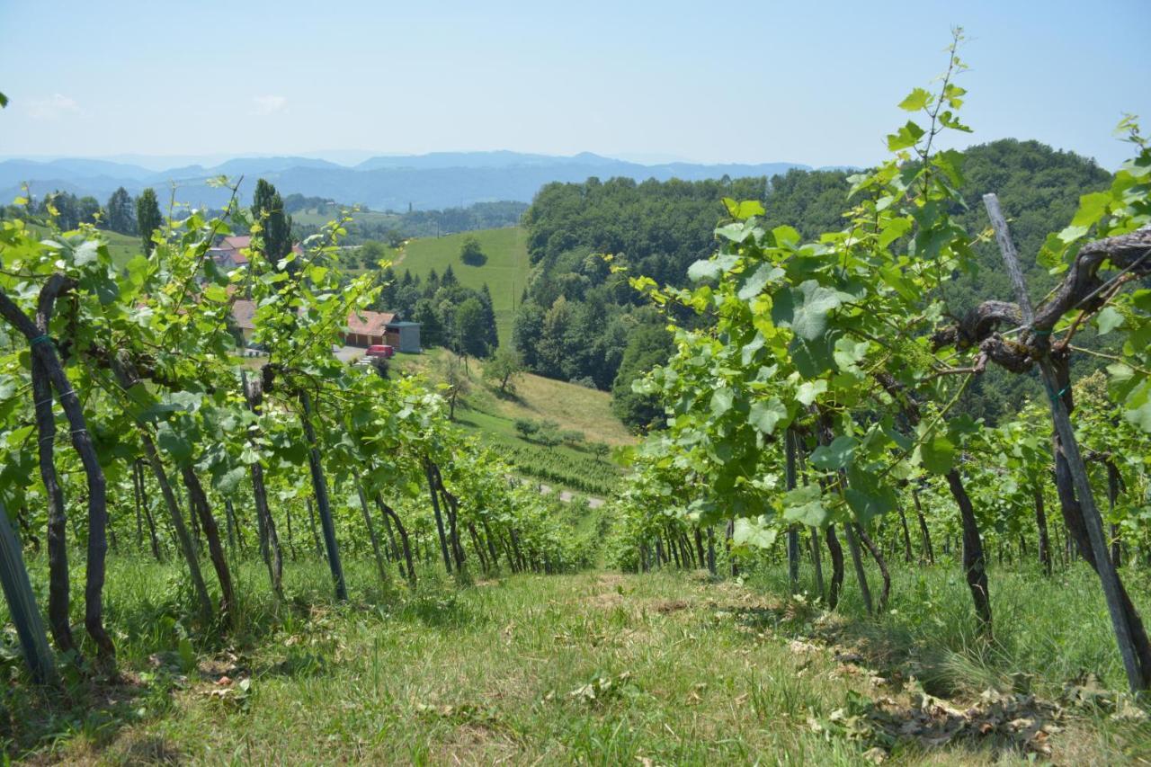 Apartamento Weingut Pugl Leibnitz Exterior foto